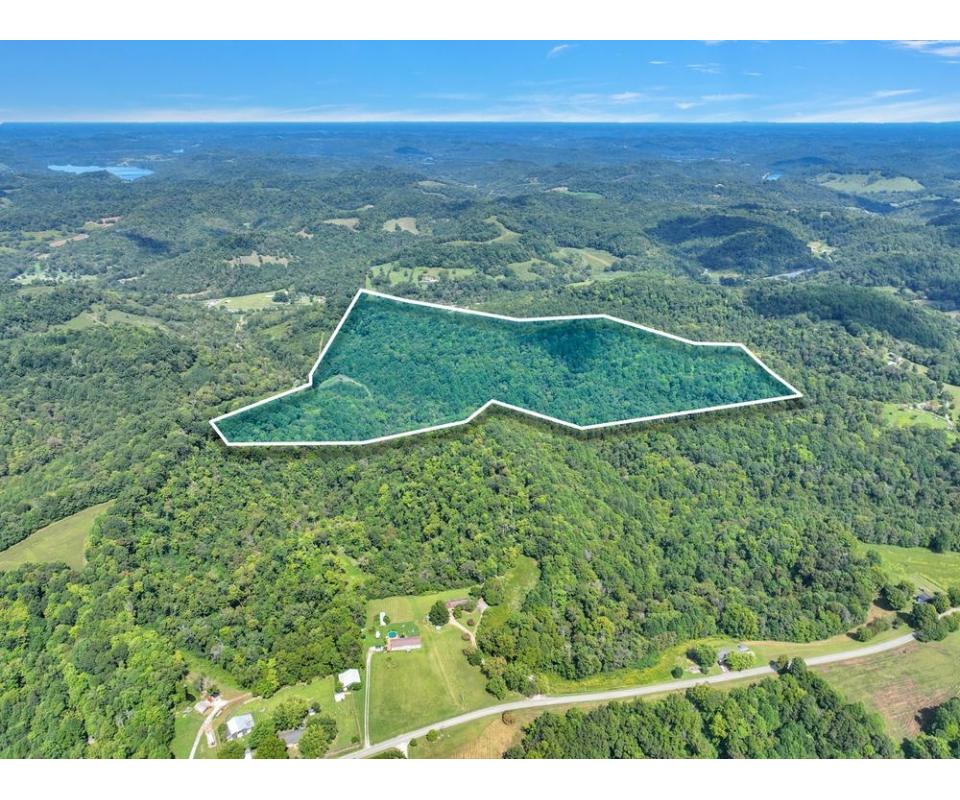 49 Duck Hollow Road, Elmwood TN