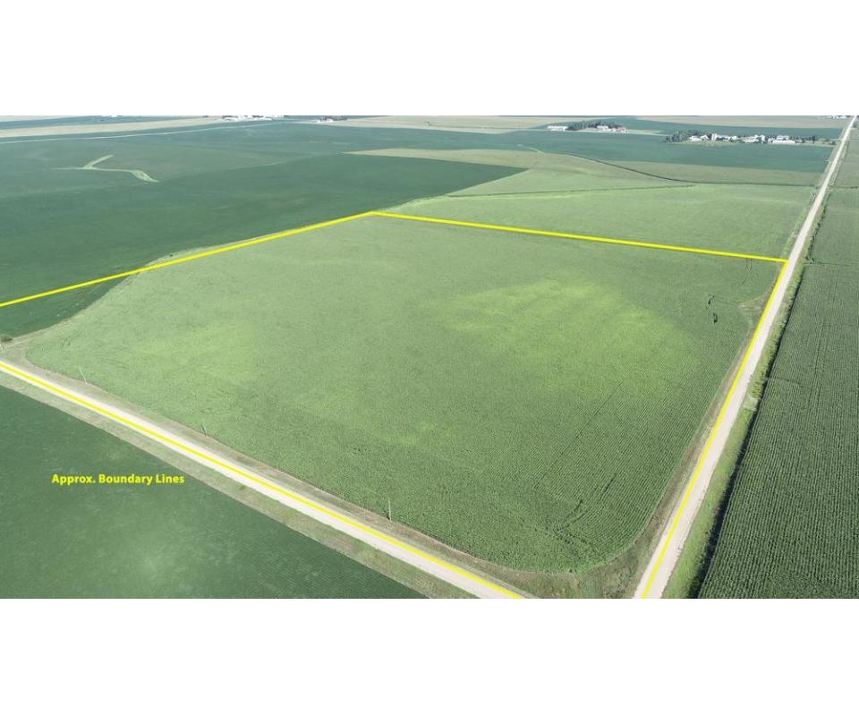 November 18, 2022 130 P.M.Live Onsite Farmland Auction Of 40