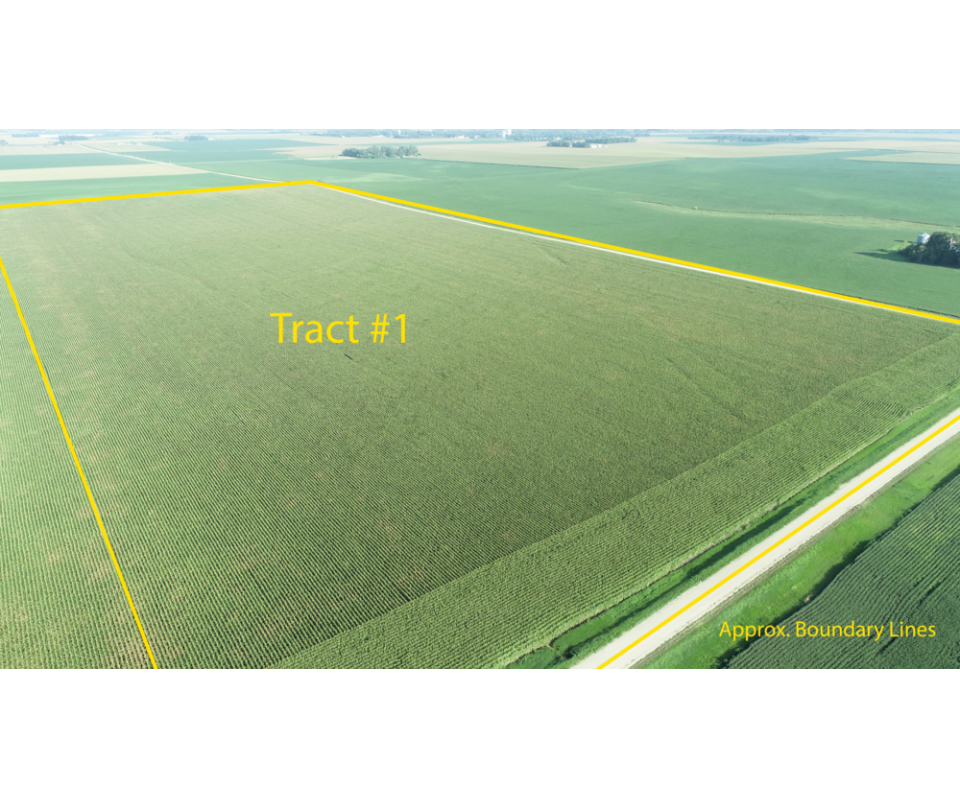 November 17, 2023 1030 A.M. Live Public Auction Of 100+/ Acres Of