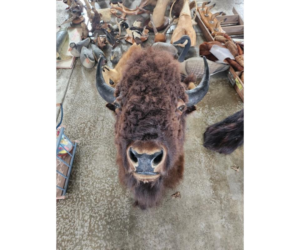 Large Live Auction Youngstown Ohio