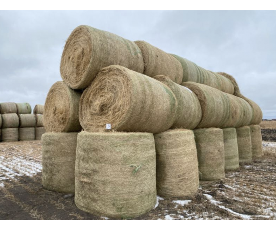 Online Hay Auction 2022