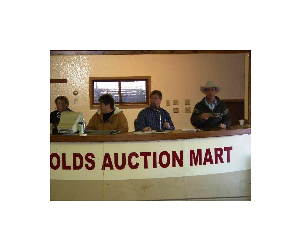 November 1st, 2022 Regular Cattle Sale