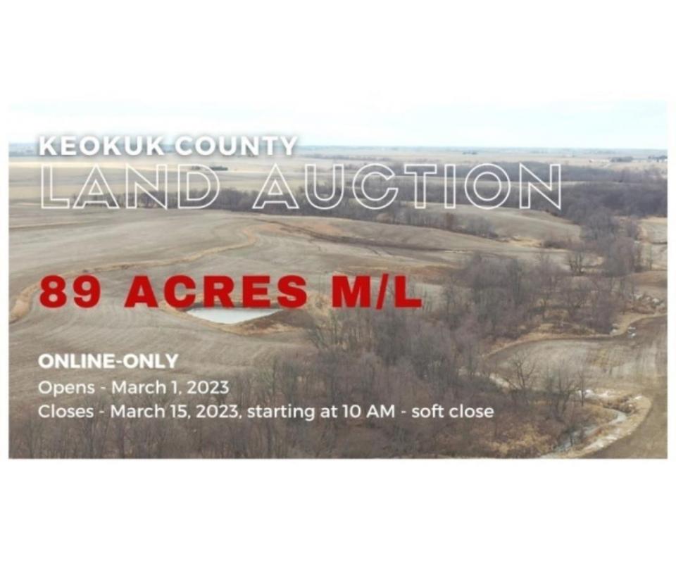 Phillips Land Auction