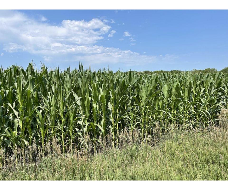157-acres-lancaster-county-nebraska