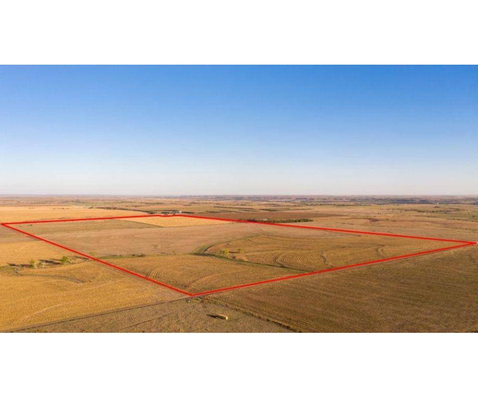 304.9+ Acres Rooks County, Kansas