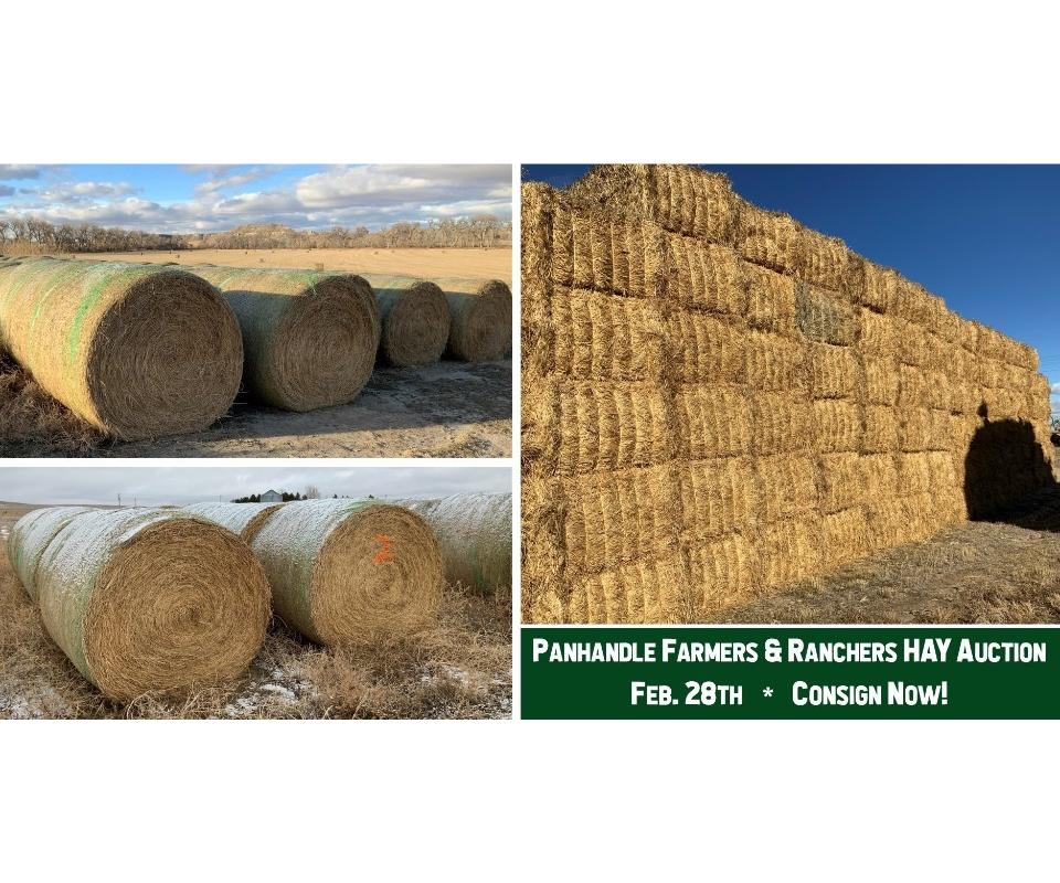 Live cast Hay Auction Tuesday, February 28th, 2023 at 105 PM