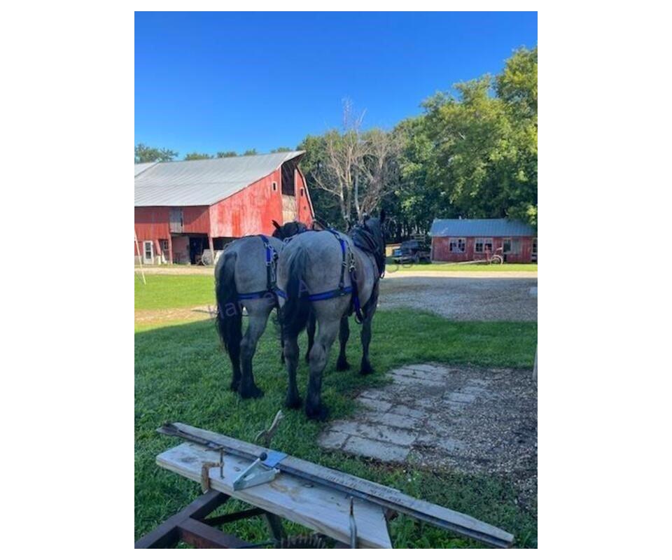 Mcintire amish auction