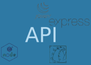 Api image3