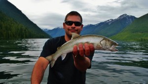 Kokanee