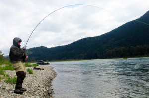 Fraser River Salmon Fishing