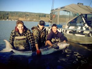 Sturgeon Fishing