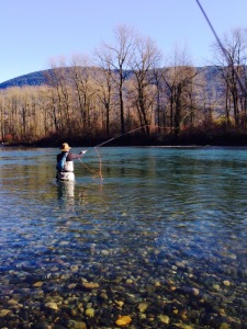 Vedder River Steehead Fishing