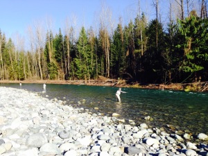 Vedder River Steehead Fishing
