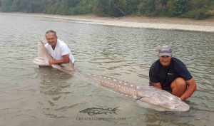 Istvans 10'2" Monster!