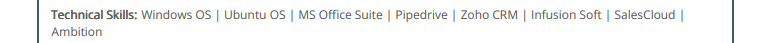 Sales Manager and Business Development expert's Technical Skills section in an organized way