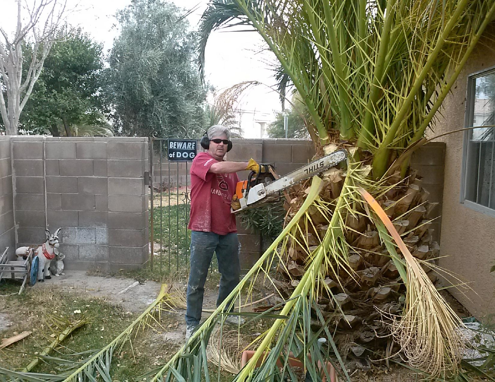 Total Tree Removal - Plus