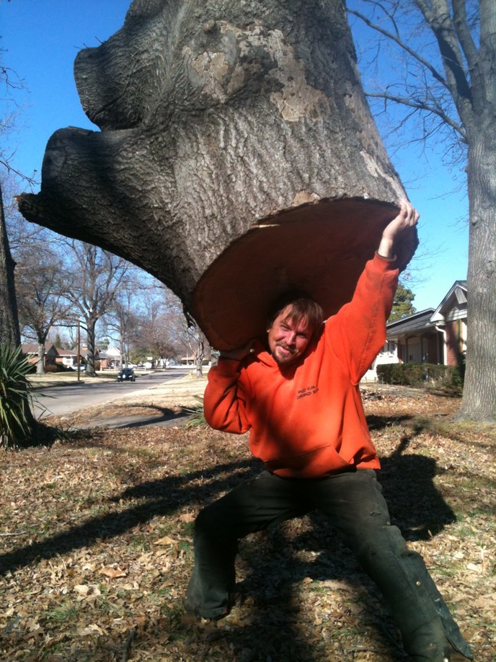 Mcholland Tree Service Llc