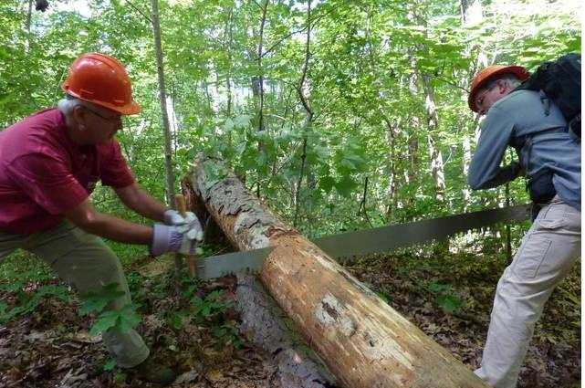 Jef R Maintenance and Tree Service