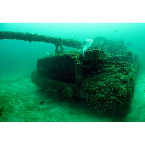 July 22nd Army Tanks 2 Tank Dive