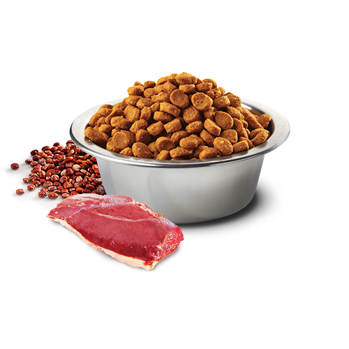 Farmina N&D Quinoa Functional Cat Food Urinary Duck Formula 3.3 lb