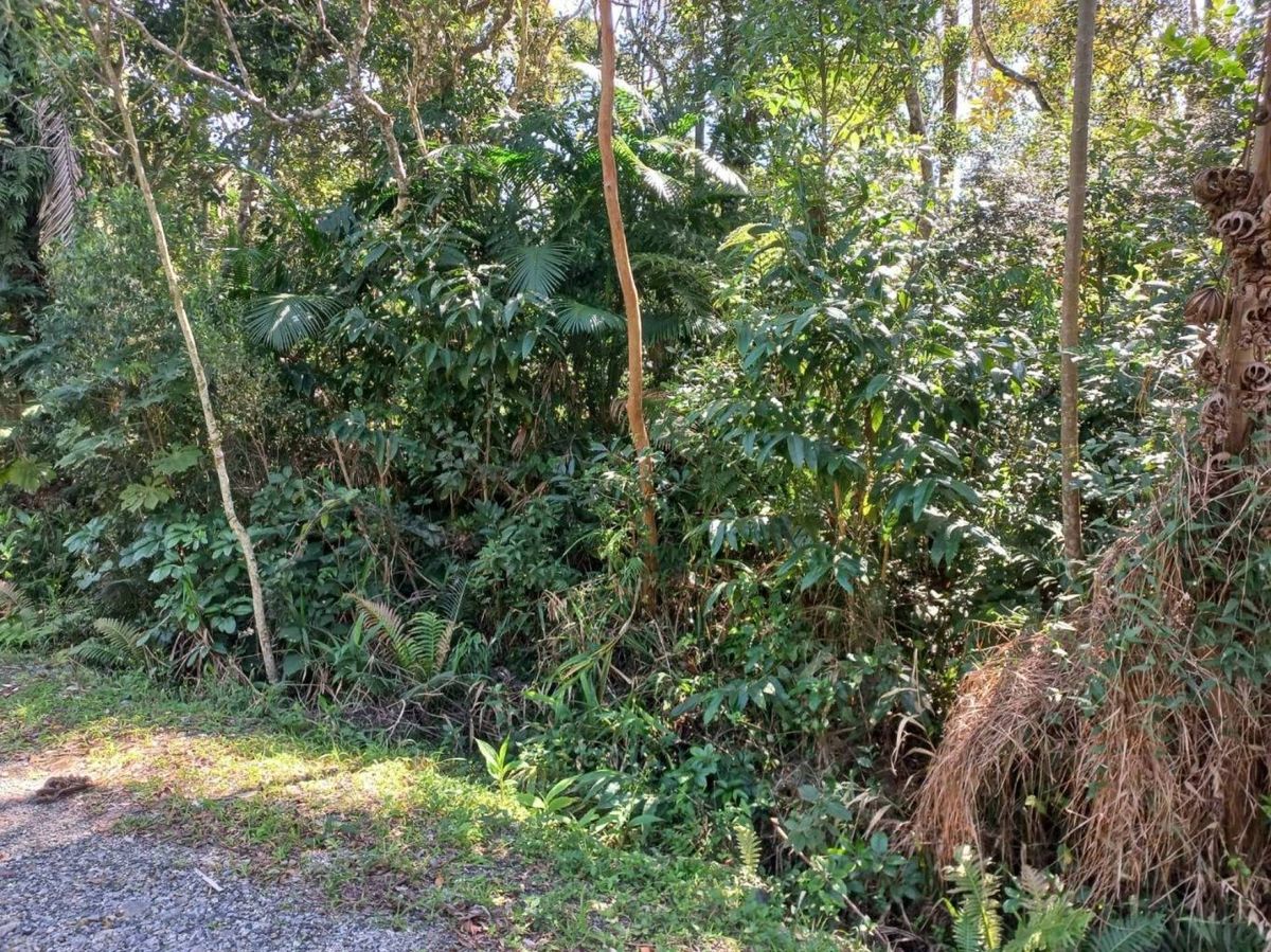Terreno a venda em Balneário Camboriú!