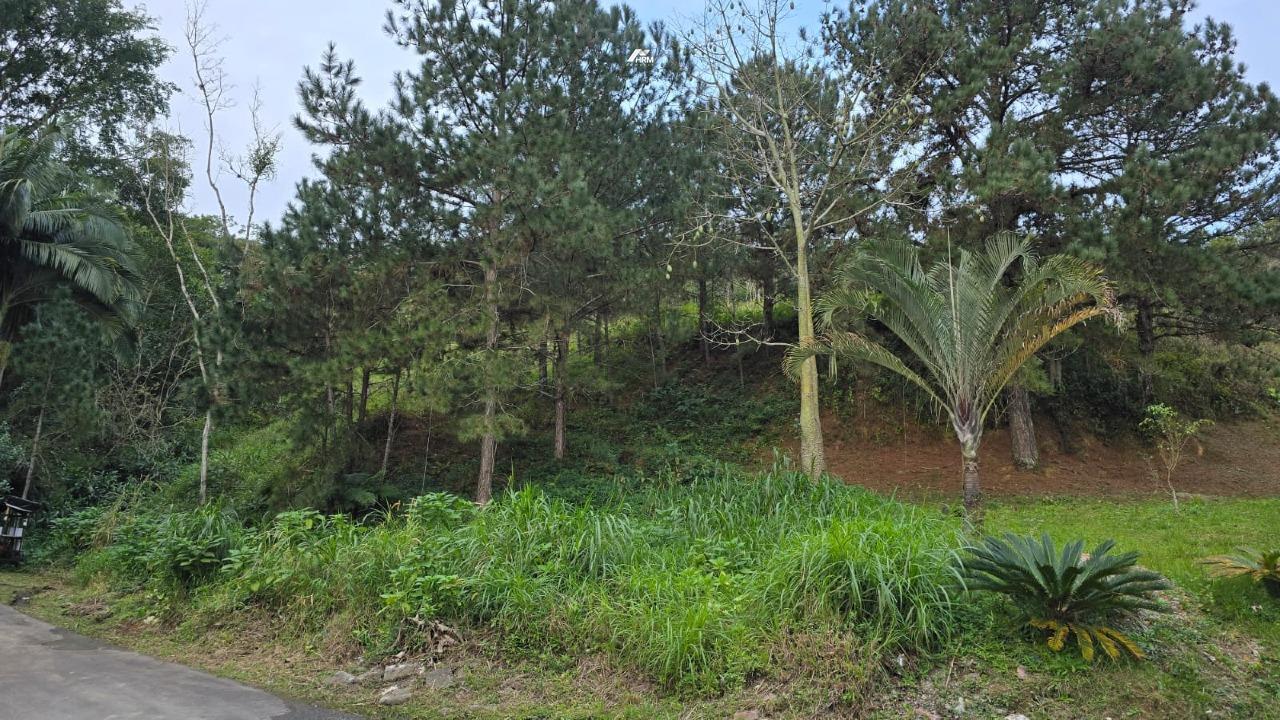 Terreno Residencial à Venda em Balneário Camboriú (Bairro Estados) — 8.367,45 m² com Sol da Manhã