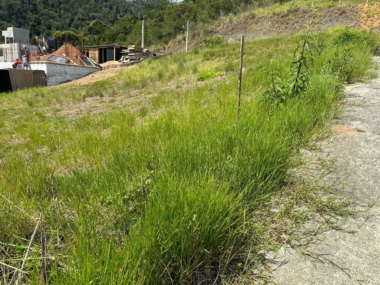 Terreno a venda em Camboriú.