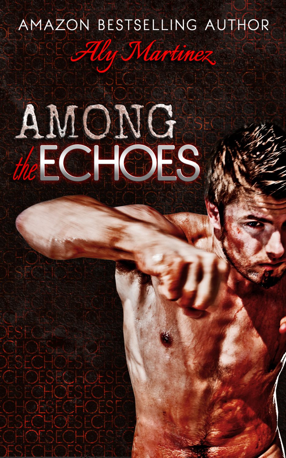 In Review: Among the Echoes (Wrecked & Ruined #2.5) by Aly Martinez