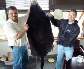 5-2011 Will Ware, Derek Lopez hold otter pelt