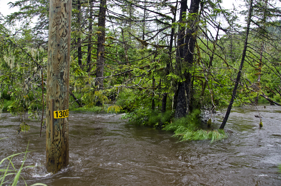 Rushing water floods the ditches along Montana Creek road and come withing a few feet of covering the road. Rushing water floods the ditches along Montana Creek road and come withing a few feet of covering the road.