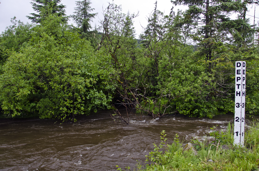 Rising water rushes along next to Montana Creek road Rising water rushes along next to Montana Creek road, however the water did not rise enough to cover the road.