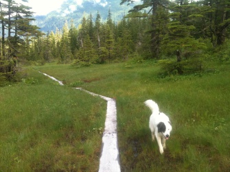 16Trails1_335x251 Dan Moller Trail
