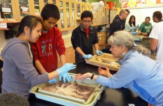 07 K2web 11-1-12 Octopus dissection volunteer helper and students