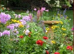 Garden of Love