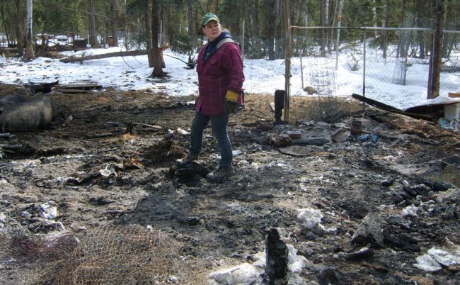 Brandy McLean walks through the rubble where the barn that burned down last week once stood, as one of the Large Black Hogs she’s raising lounges nearby, left. Photo by Tim Ellis, KUAC – Fairbanks Brandy McLean walks through the rubble where the barn that burned down last week once stood, as one of the Large Black Hogs she’s raising lounges nearby, left. Photo by Tim Ellis, KUAC – Fairbanks
