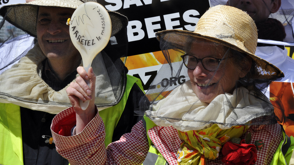 Beekeepers demonstrate at the EU headquarters in Brussels Monday, as lawmakers vote on whether to ban pesticides blamed for killing bees. Georges Gobet/AFP/Getty Images Beekeepers demonstrate at the EU headquarters in Brussels Monday, as lawmakers vote on whether to ban pesticides blamed for killing bees. Georges Gobet/AFP/Getty Images