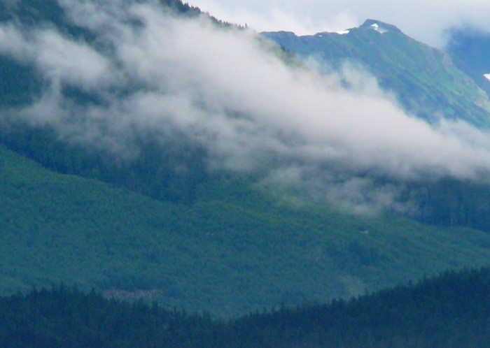 8-6-12 cropped Clearcut north of Angoon
