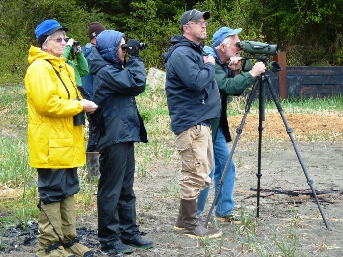 01 5-31-13 Bird-watching on Yakutat's Sandy Beach 2