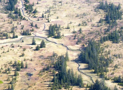 5-29-13 Yakutat forelands CROPPED from jet 2