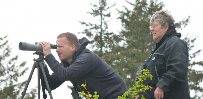 Haines and Skagway participate in annual Christmas bird count