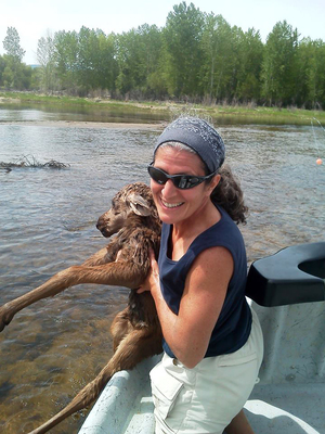Image moose_vert-372a73107b7df528471a1bdcf21a1a0f43bdfe8a-s2.jpg