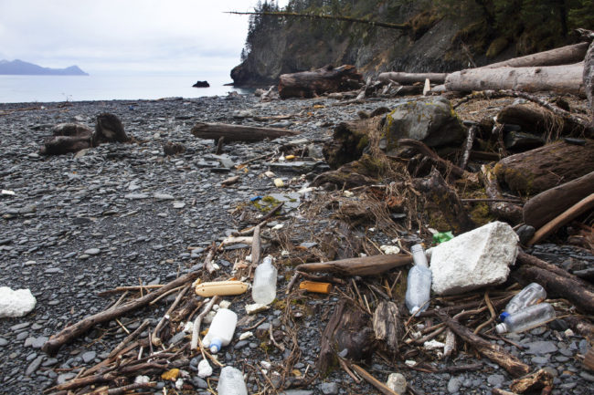 MarinedebrisMuseumImage Marine debris in Bulldog Cove on the western shore of Resurrection Bay in 2011. Photo credit: Kip Evans/courtesy of Anchorage Museum