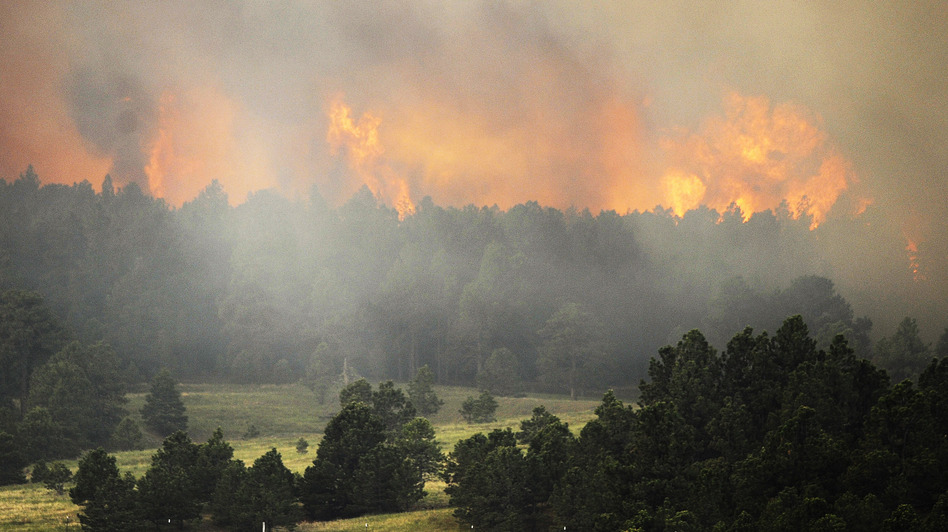 The Black Forest wildfire is burning near Colorado Springs, Colo. As Thursday dawned it was "zero percent contained," authorities said. Chris Schneider/Getty Images The Black Forest wildfire is burning near Colorado Springs, Colo. As Thursday dawned it was "zero percent contained," authorities said. Chris Schneider/Getty Images