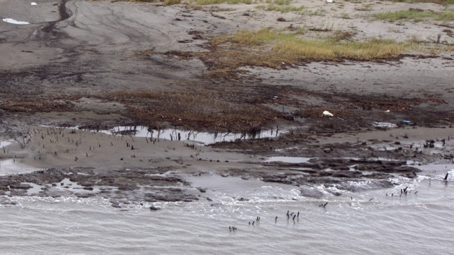 BP is scaling back its cleanup efforts from the Deepwater Horizon oilspill in areas outside Louisiana. Here, a photo from last September shows alluvial clay and tar mats on the shore of Elmer's Island, in Jefferson Parish, La. Gerald Herbert/AP BP is scaling back its cleanup efforts from the Deepwater Horizon oilspill in areas outside Louisiana. Here, a photo from last September shows alluvial clay and tar mats on the shore of Elmer's Island, in Jefferson Parish, La. Gerald Herbert/AP