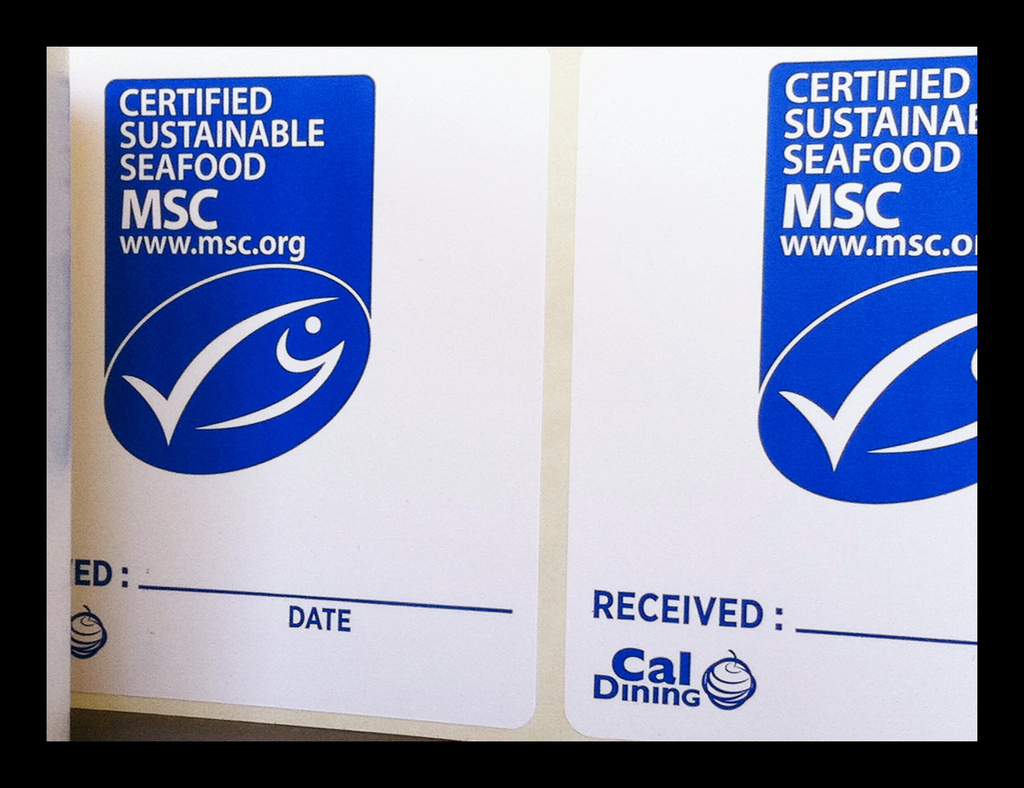 MSc-label