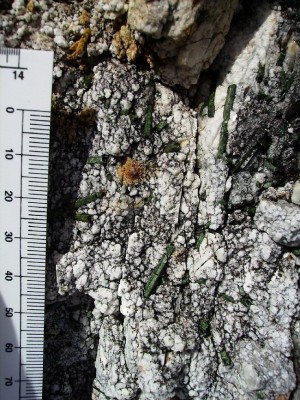 Niblack ore samples