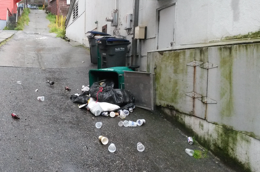 City considering additional regulations for bearproofing garbage