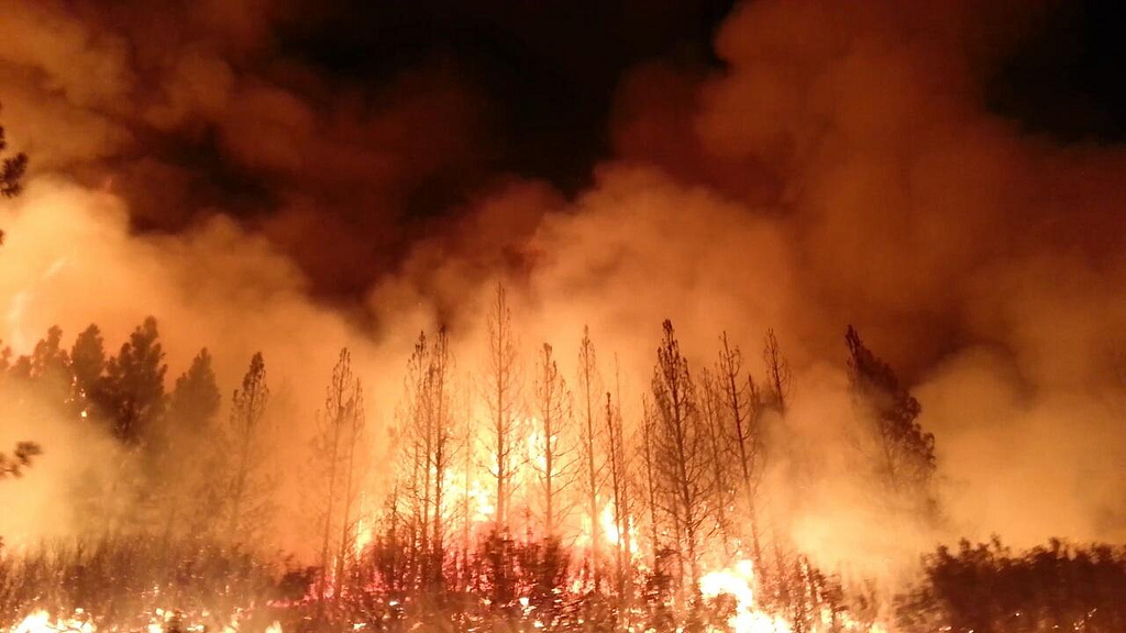 RimFire