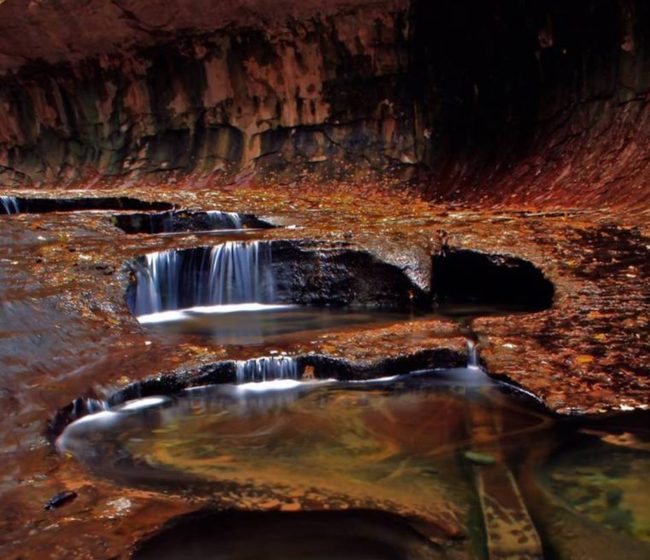 An autumn scene in the canyon known as "The Subway" in Zion National Park in Utah, which is now off-limits to hikers and other tourists due to the government shutdown. Wanda Gayle/NPR An autumn scene in the canyon known as "The Subway" in Zion National Park in Utah, which is now off-limits to hikers and other tourists due to the government shutdown. Wanda Gayle/NPR