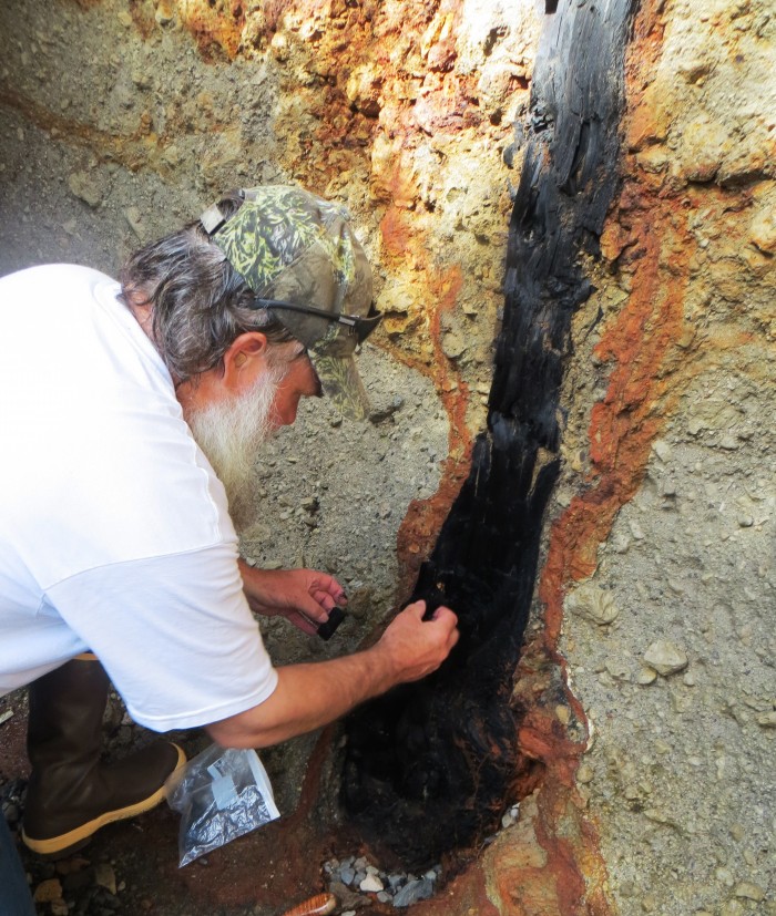 Sept. 2013 Jim Baichtal samples Kruzof charcoal tree - cropped